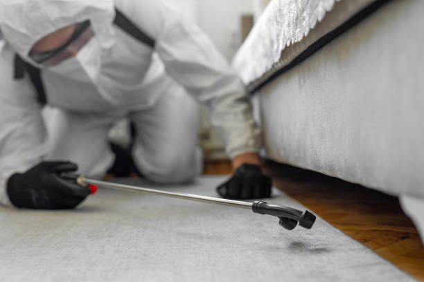 Professional Bed Bug Control technician working in Honeyville, UT