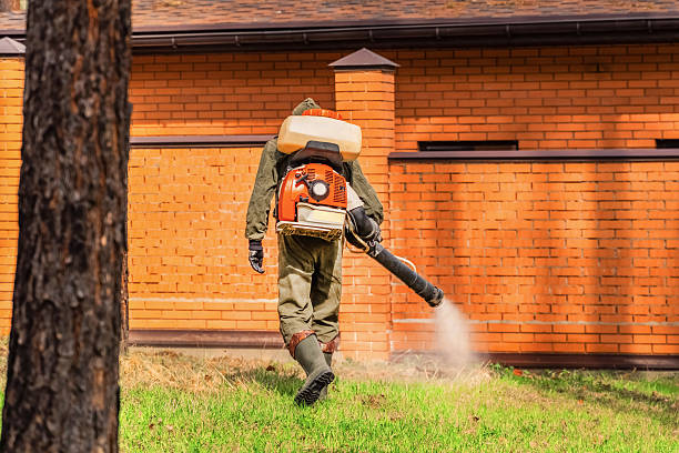 Trusted Cockroach Control service in Honeyville, UT - Nex Pest Control